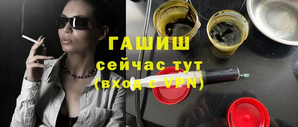 молекула духа Ельня