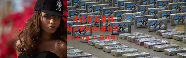 молекула духа Ельня