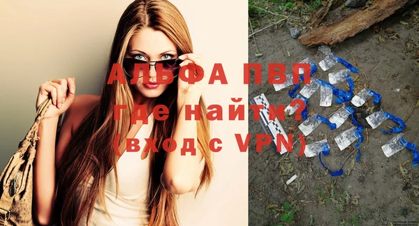 молекула духа Ельня