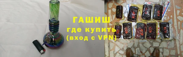 молекула духа Ельня