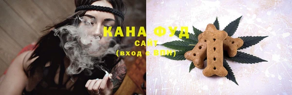 молекула духа Ельня