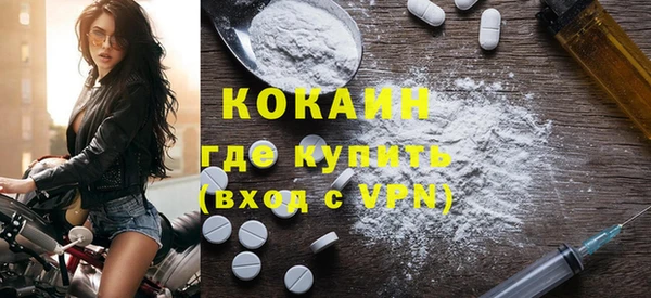 молекула духа Ельня