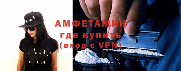 молекула духа Ельня