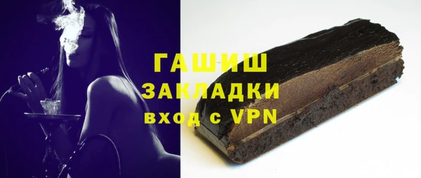 молекула духа Ельня