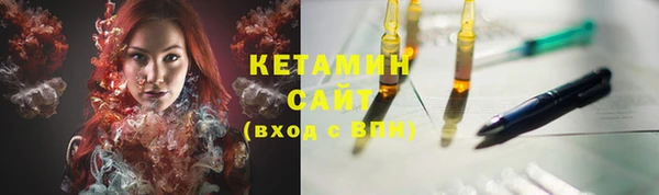 молекула духа Ельня