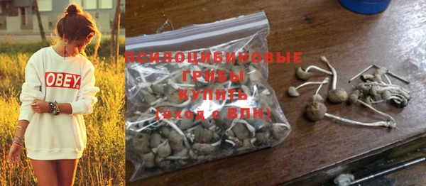 экстази Елизово