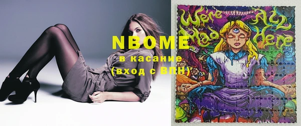 молекула духа Ельня
