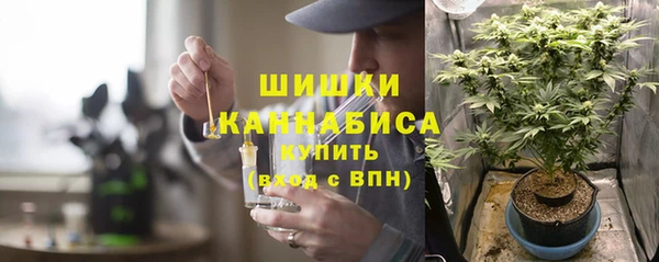 mdpv Елабуга
