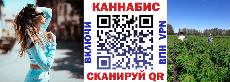 Бошки марихуана планчик  Купить где  Звенигово 